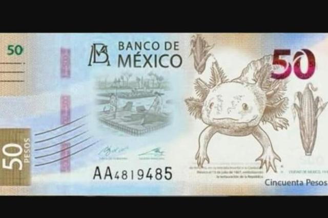 Billete De 50 Pesos Mexicanos Se Vende Hasta En 3 Millones 8691