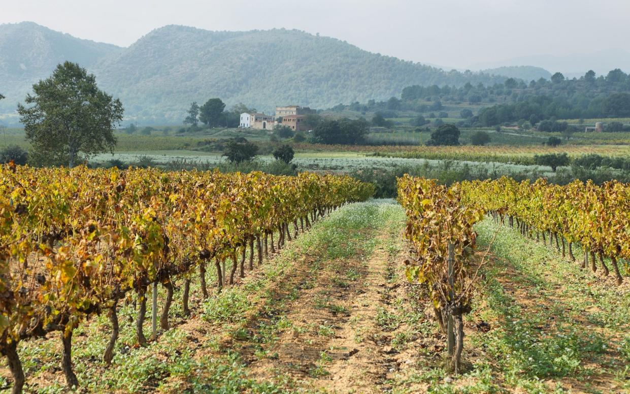 Catalonia is one of Europe's best wine regions
