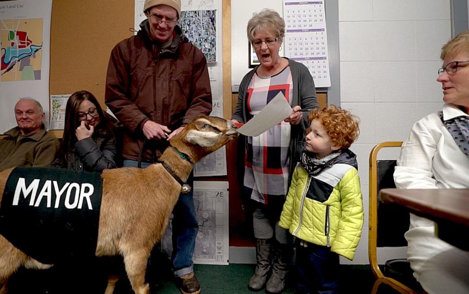 Town Clerk Suzanne Dechame reads the oath office to Lincoln, a 3-year-old Nubian goat, during the animal's swearing in ceremony in Fair Haven, Vt., on Tuesday, March 12, 2019. Left, Lincoln's owner Chris Stanton and grandson Sullivan Clark -- who nominated Lincoln for her mayoral run as part of playground fundraiser -- were part of the proceedings.