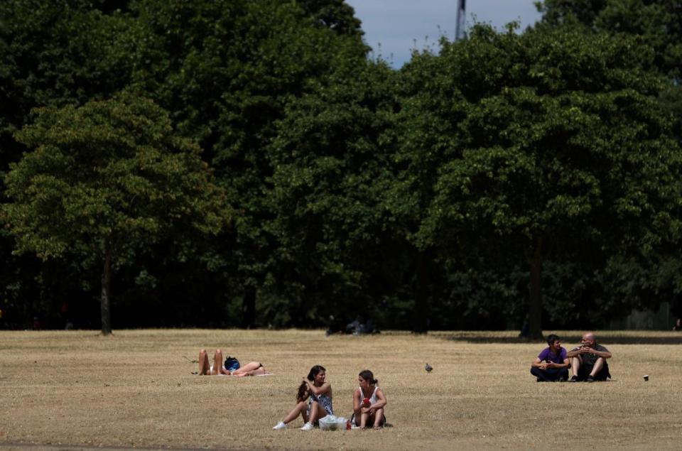 Visitors to Hyde Park sit on the dry brown grass in London (AFP/Getty Images)