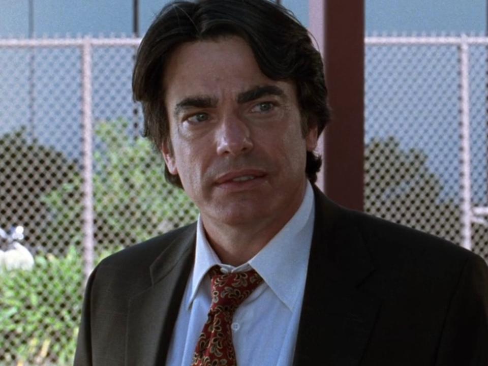 Peter Gallagher as Sandy Cohen on season one of "The O.C."