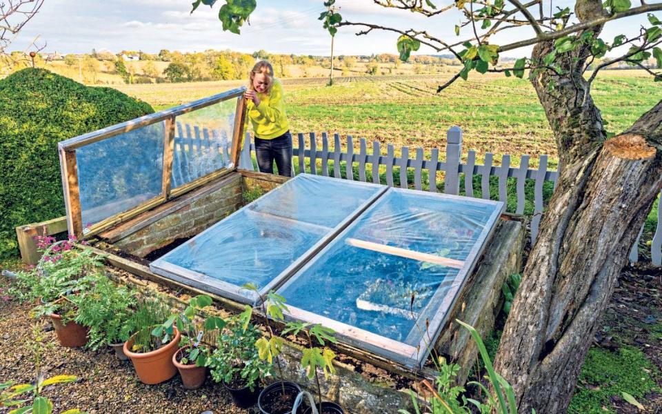 why winter is the best time to experiment in the garden how to cold weather uk 2021 - Andrew Crowley