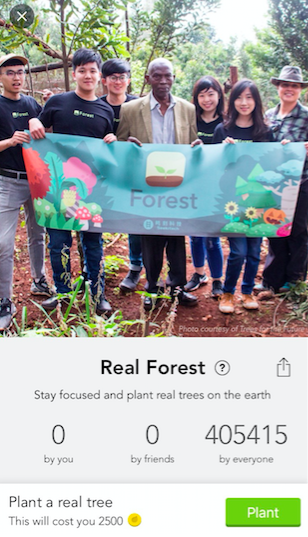 Forest's "Real Forest" menu