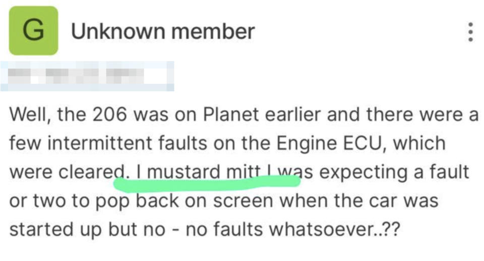 Summarized text: A forum post by an unknown member discussing intermittent faults on a car's Engine ECU that were cleared and did not reappear