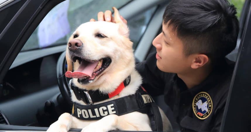 新北市警犬隊「幹員」多多為國奉獻多年，如今即將光榮退役，開始享受恬淡快樂的狗生。（圖／翻攝畫面）