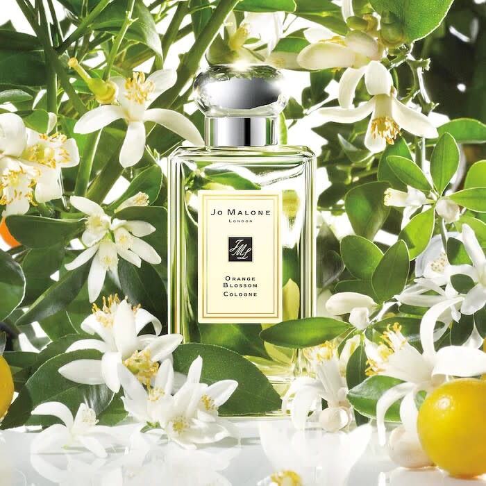 Jo Malone Lonodn橙花香水Orange Blossom Cologne