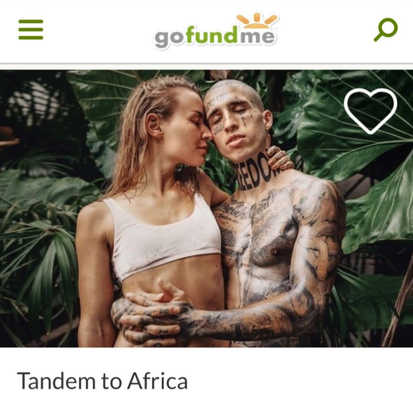 Screenshot of Catalin Onc and Elena Engelhardt's Go Fund Me to raise holiday funds