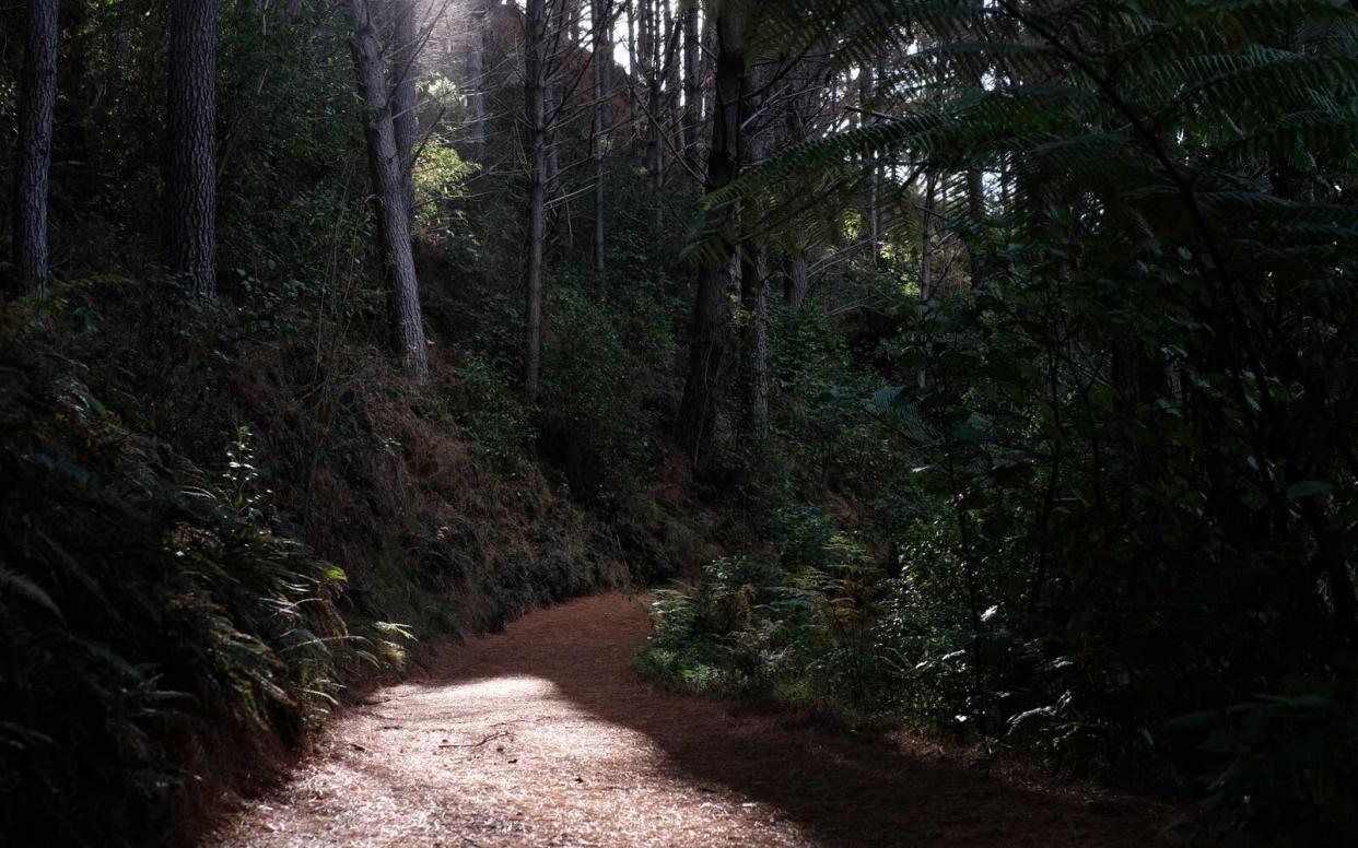 Helena Bay Lodge - New Zealand