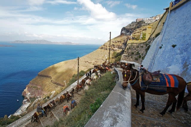 Cruise passenger killed by donkey in Santorini