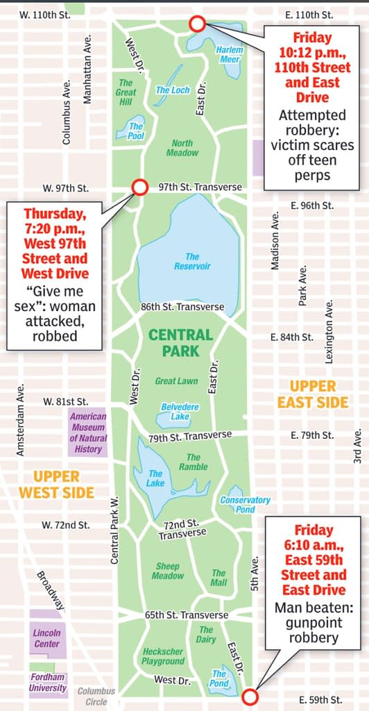 Map of robberies that have recently occurred at Central Park.
