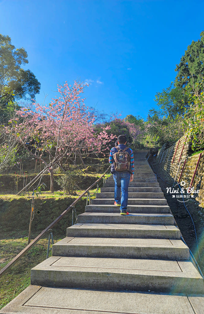 南投｜台大實驗林鳳凰自然教育園區