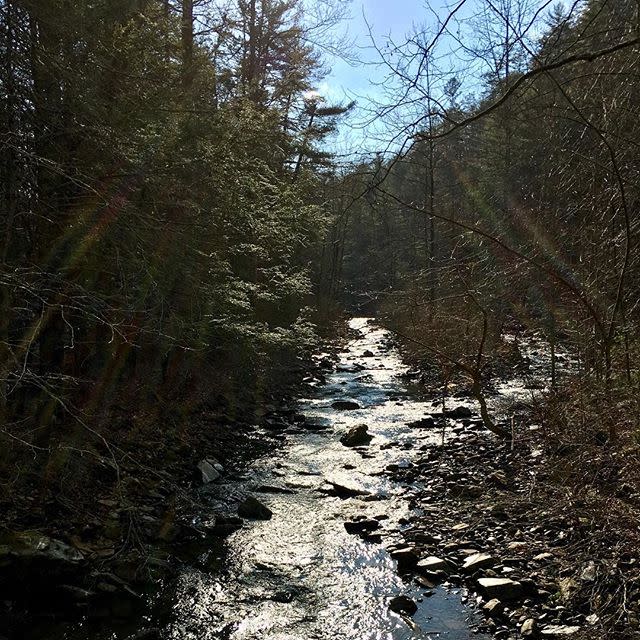 10) George Washington and Jefferson National Forests (Roanoke, Virginia)