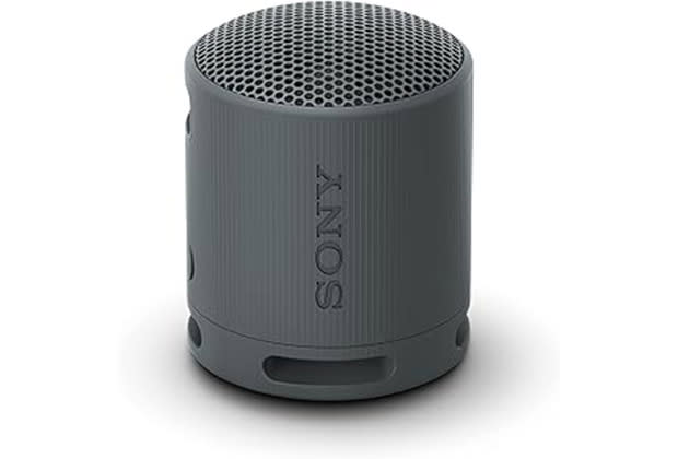 Sony SRS-XB100 Wireless Bluetooth Speaker