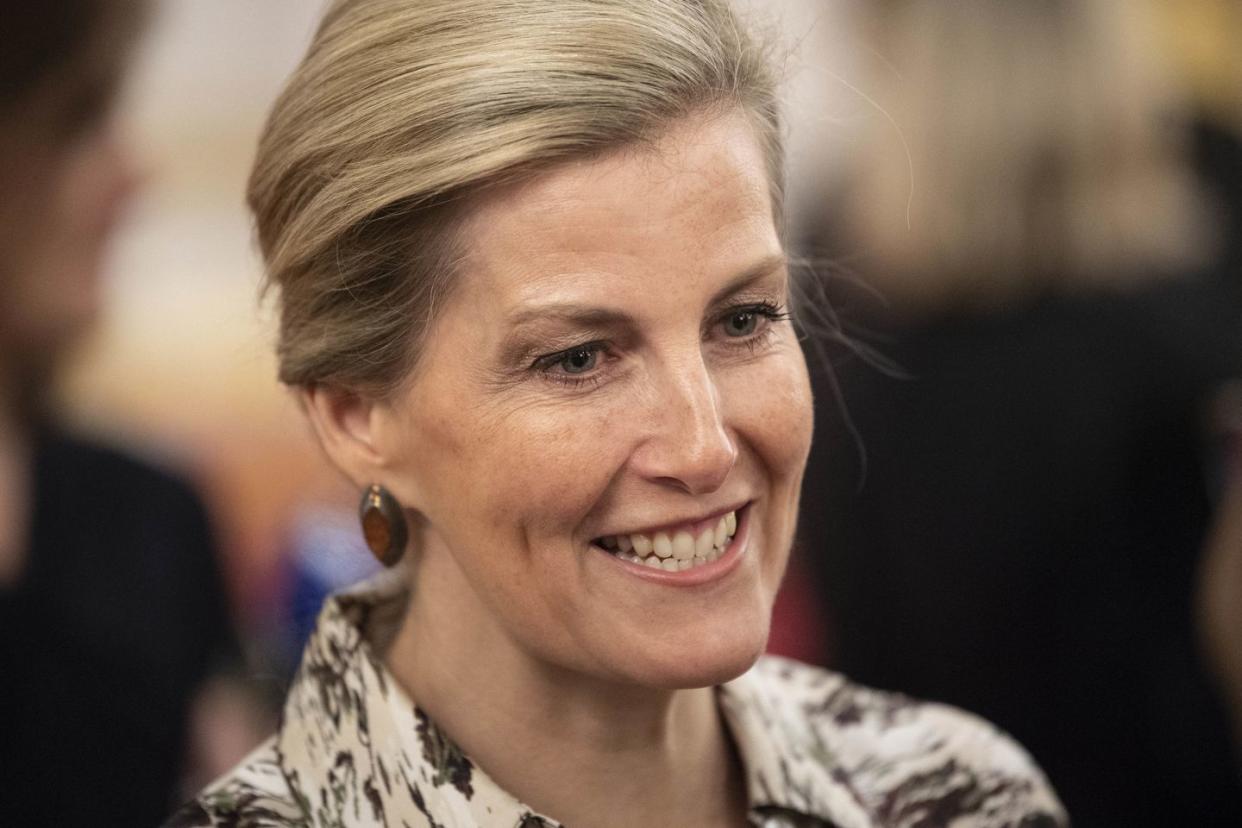 sophie, countess of wessex hosts reception for women peacebuilders on international women's day 2019