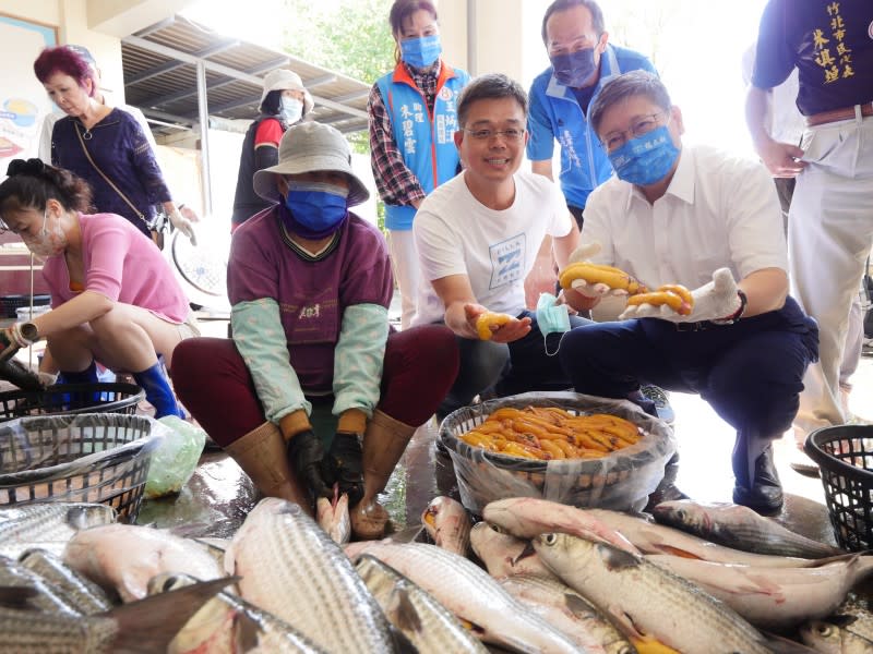 竹北市水產養殖產銷班班長許豐立(右2)陪同縣長楊文科(右1)關心養殖戶及今年烏魚子品質。（圖／新竹縣政府提供）