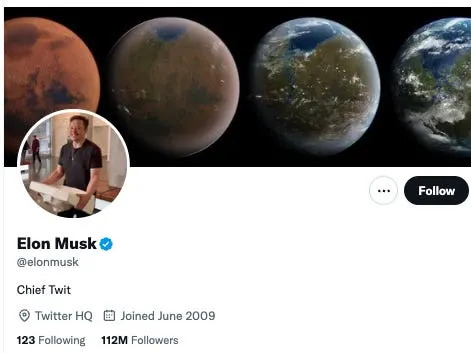 Elon Musk's Twitter bio page