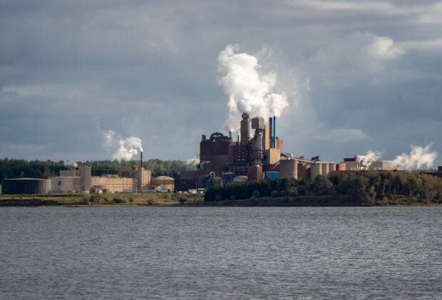 The Northern Pulp mill in Abercrombie Point, N.S., halted production in January 2020 after the provincial government refused its application to build a new treatment facility. (Robert Short/CBC - image credit)