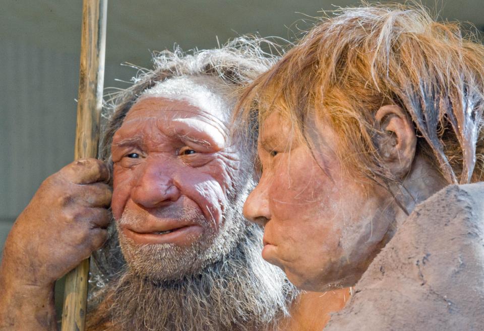 La foto de archivo del 20 de marzo de 2009 muestra al hombre de Neandertal prehistórico 