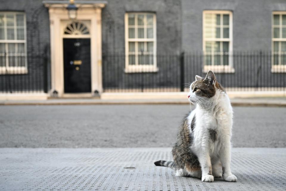 <span class="caption">Prime ministers come and go, but Larry the Downing Street cat remains in place.</span> <span class="attribution"><a class="link " href="https://www.gettyimages.com/detail/news-photo/larry-the-downing-street-cat-sits-on-the-pavement-in-front-news-photo/1241721664?adppopup=true" rel="nofollow noopener" target="_blank" data-ylk="slk:Leon Neal/Getty Images;elm:context_link;itc:0;sec:content-canvas">Leon Neal/Getty Images</a></span>