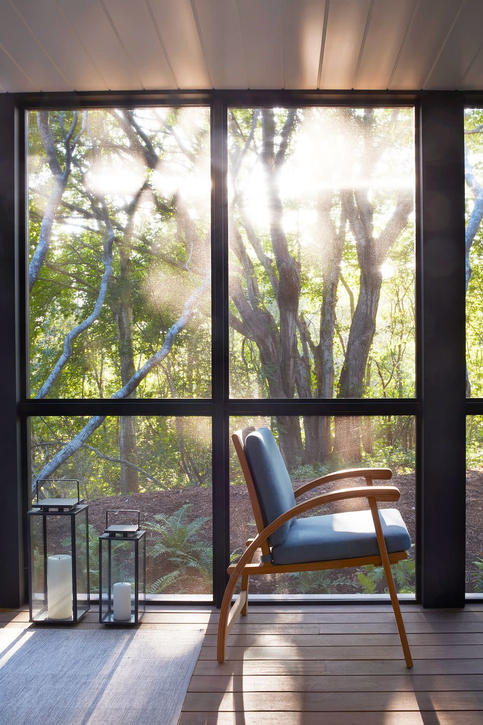 screened in porch in the forest with dappled light