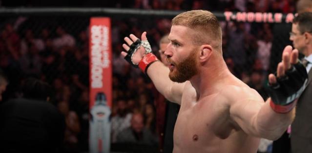 Jan Blachowicz at UFC on ESPN+ 22