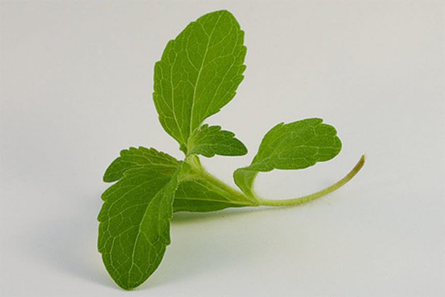 7. Stevia