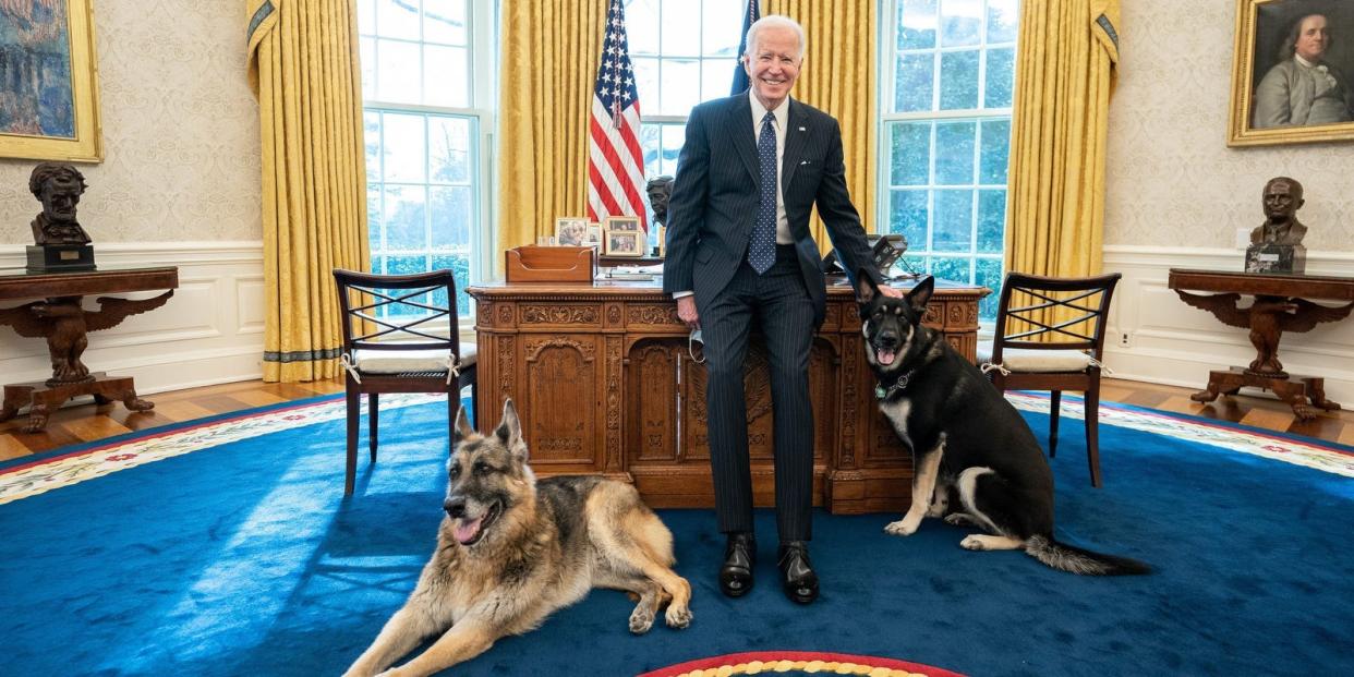 Joe Biden in Oval Office with Champ and Major