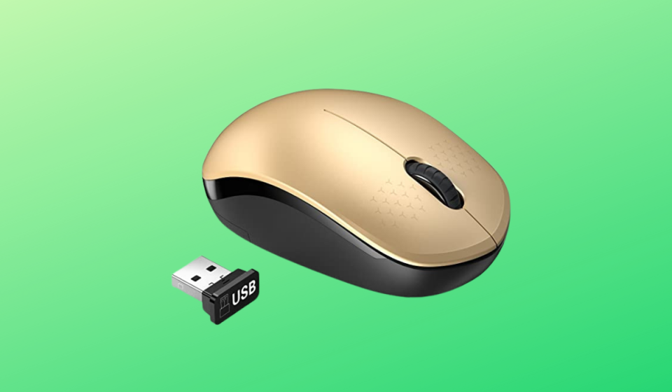 a wireless mouse