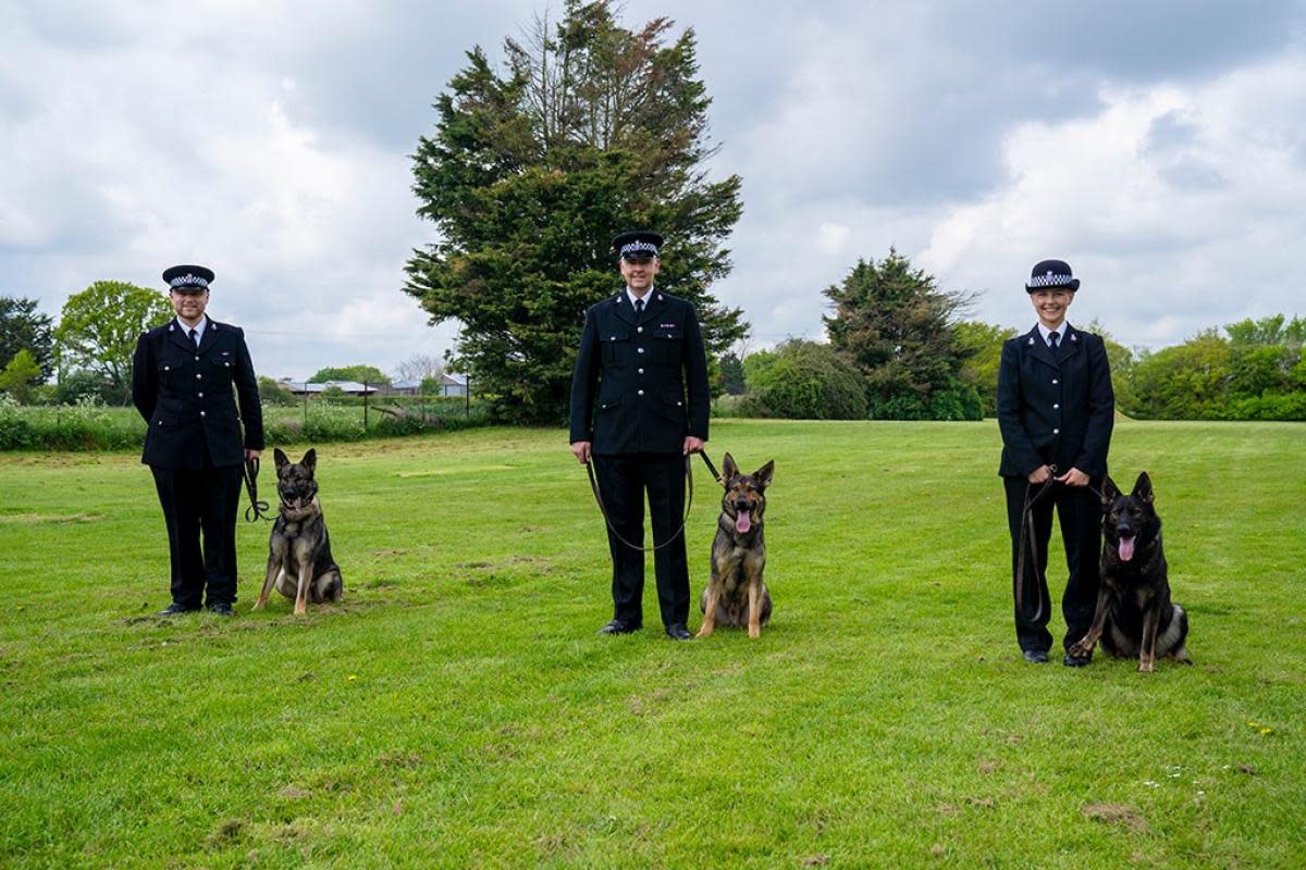 New recruits - PC Ben Norfolk, PC Nick Hayter, and PC Liss Johnston with Cooper, Quando, and Obi <i>(Image: Essex Police)</i>