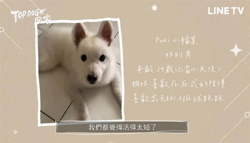 魏蔓過去養的愛犬去年4月過世了，令她相當難過。（圖／翻攝Line TV）