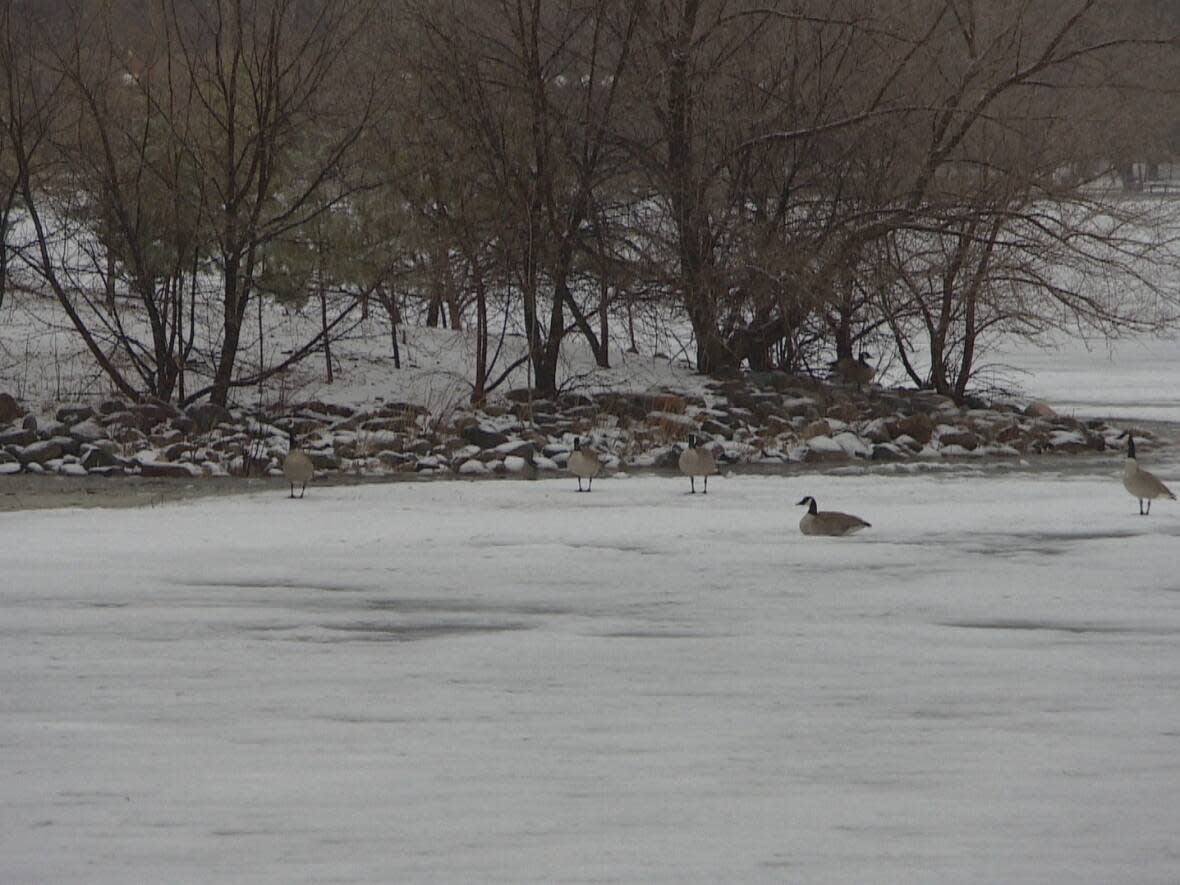 The calm before the spring storm in Regina Tuesday afternoon.   (Adam Bent/CBC - image credit)