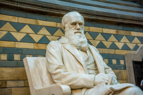 <span class="caption">Charles Darwin, who first advanced the theory of evolution, to the chagrin of creationists everywhere</span> <span class="attribution"><a class="link " href="https://www.shutterstock.com/download/confirm/707872012?size=huge_jpg&src=lb-59856941&sort=newestFirst&offset=4" rel="nofollow noopener" target="_blank" data-ylk="slk:Shutterstock;elm:context_link;itc:0;sec:content-canvas">Shutterstock</a></span>