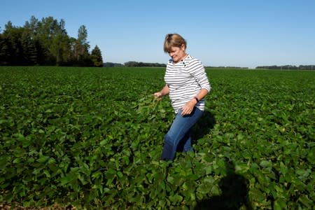 Vannessa Kummer checks soybean crop Colfax, North Dakota