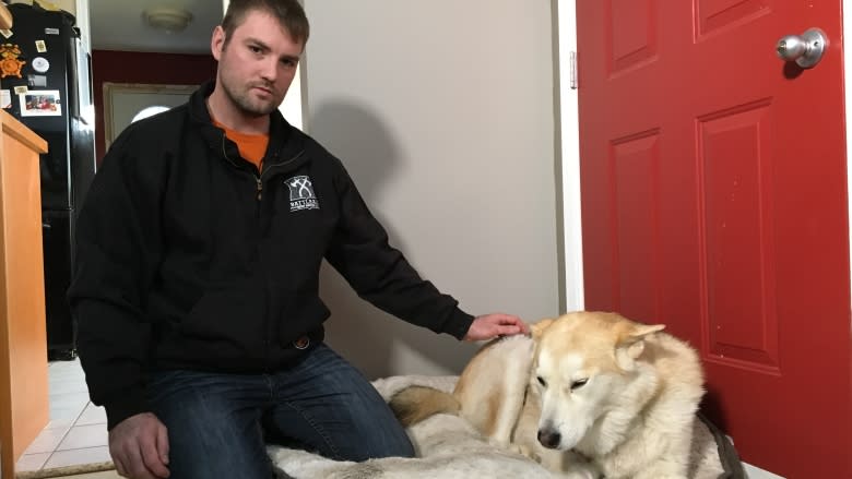 Red Deer man punches cougar at Tim Hortons to save dog