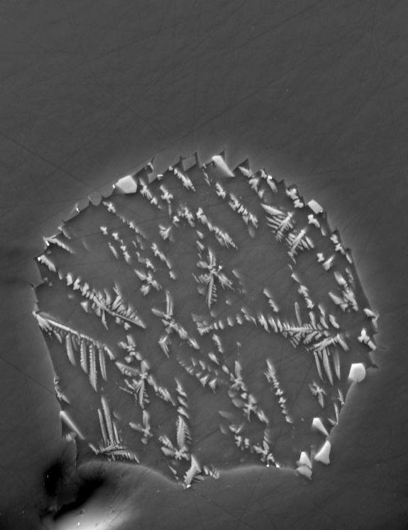 Backscatter electron image of a lunar melt inclusion from Apollo 17 sample 74220, enclosed within an olivine crystal. The inclusion is 30 ?m in diameter. Skeletal crystals within the melt inclusion are a fine mixture of olivine and ilmenite. Da