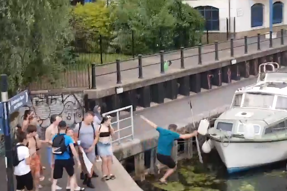 A man was pushed into an east London canal after trying to stop young people from 'kicking at fighting swans'