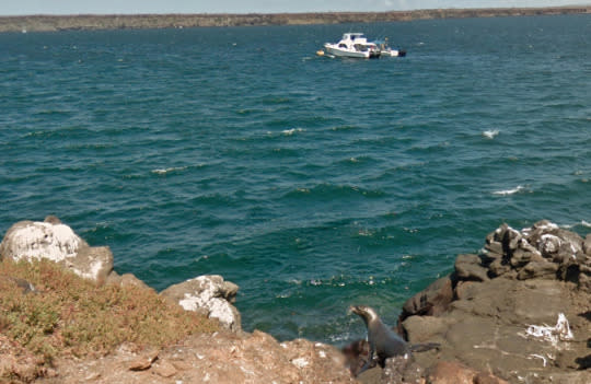 Galapagos Islands