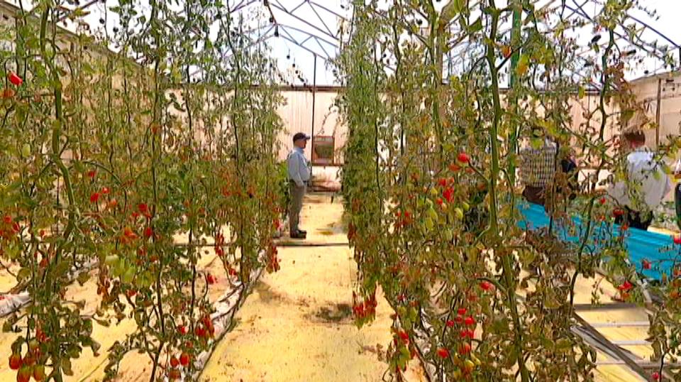 Utah Department of Agriculture and Food Commissioner Craig Buttars stands in a vertical garden at the Ramat HaNegev Research and Development Center in the Negev Desert in Israel on Tuesday, March 28, 2023. | Ben Winslow, FOX 13 News