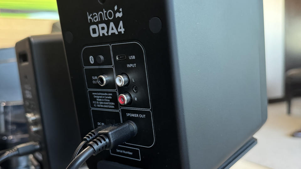 Kanto Audio ORA4 rear input view close-up shot