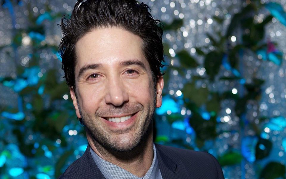 David Schwimmer - 2013 Getty Images