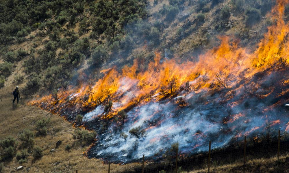 <span>Photograph: Rick Egan/AP</span>