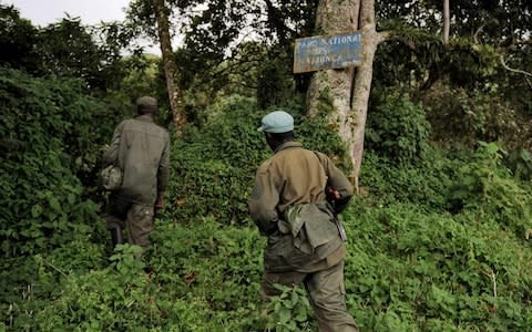 The two British nationals were taken hostage after the vehicle that they were travelling in was ambushed in Congo’s Virunga National Park - Credit:  ROBERTO SCHMIDT/ AFP