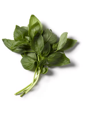 Basil