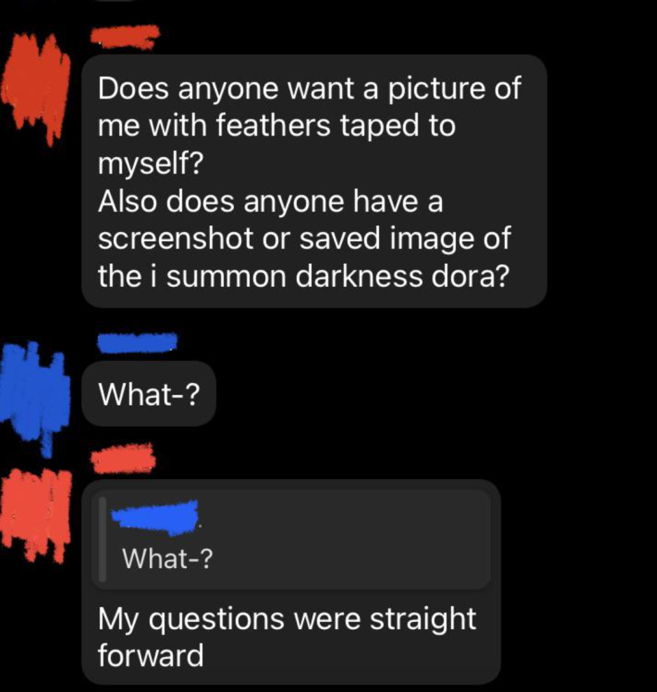 Friend asking if their friends want a pic of them in feathers