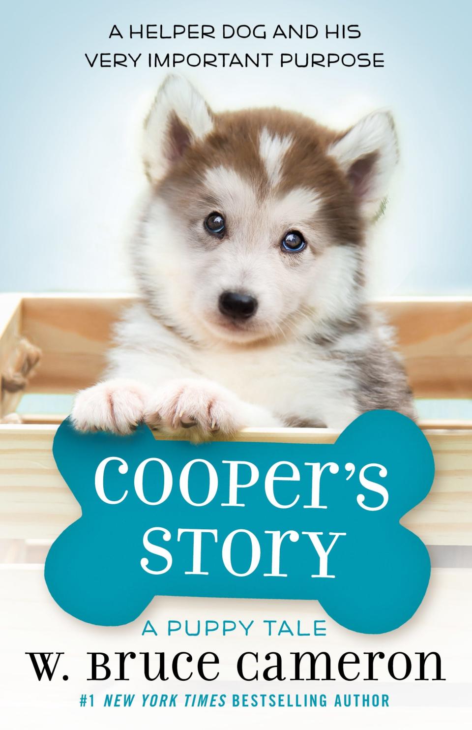 Coopers Story 