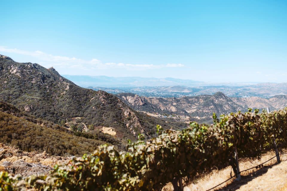 Enjoy the views on this Malibu wine hike. Source: Supplied