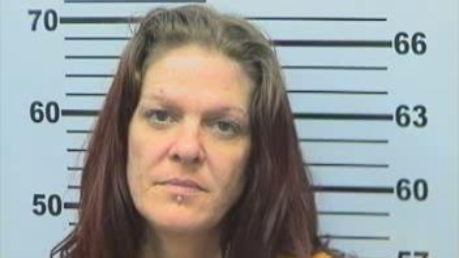 40-year-old Sara Lorraine Ervin, who is charged with soliciting for prostitution.