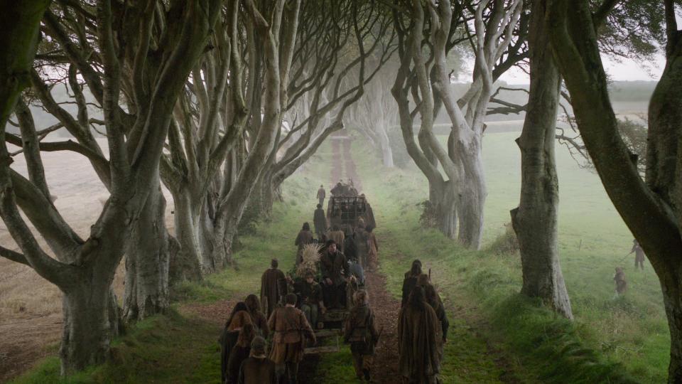 The Dark Hedges, in the misty climes of Northern Ireland.