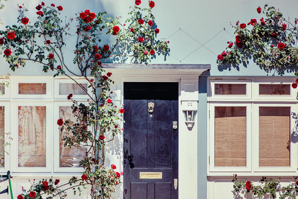 Lovely house facade with blue wall and red roses in Notting Hill, London property