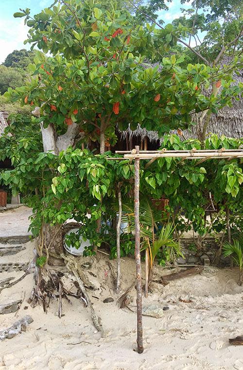 Banana Beach, Thailand